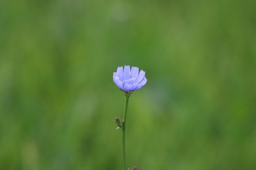 Photograph by Анна Чадова