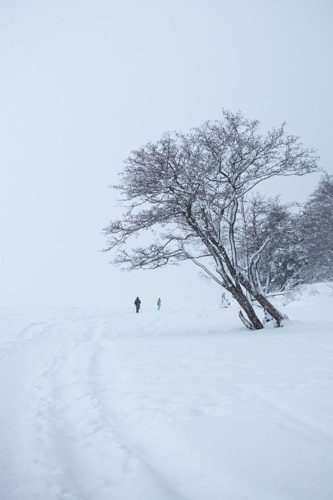 Фотография автора Александр Колдин