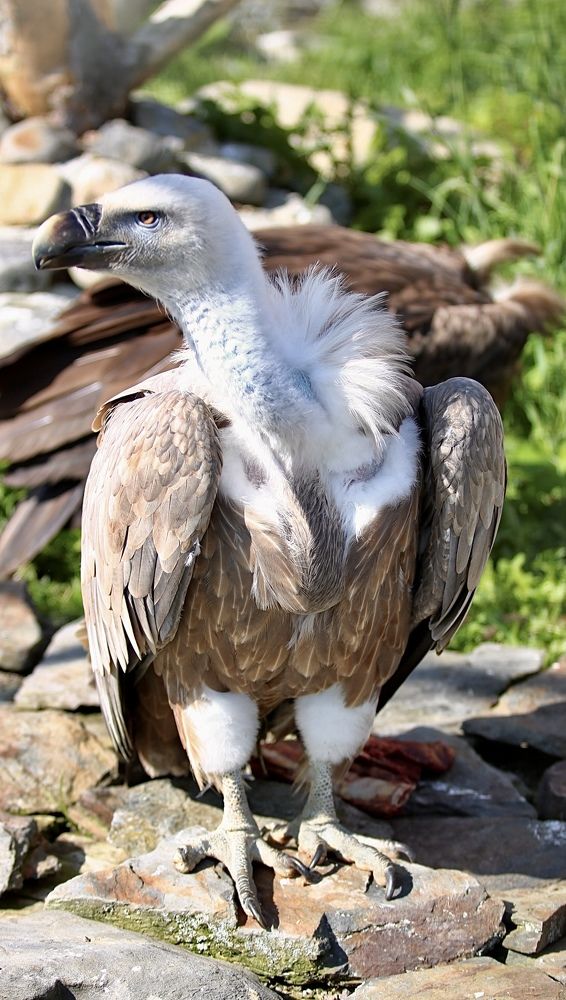 Photograph by Елена Ковалева