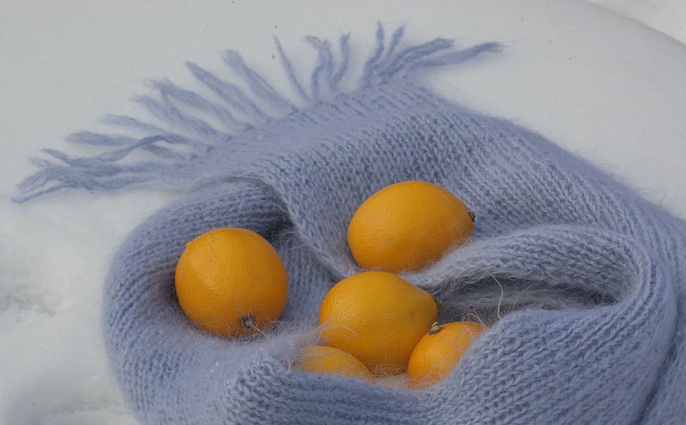 Лимоны на снегу