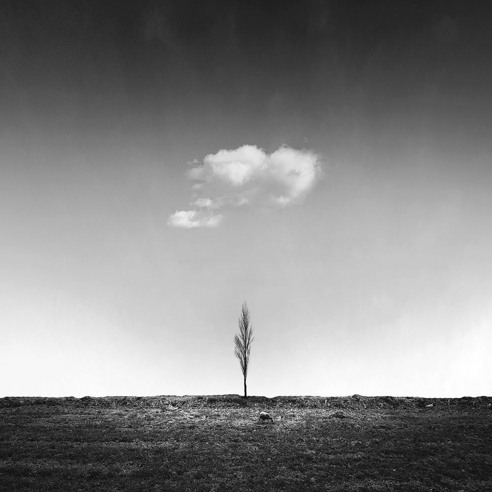 Photograph by Mohammad Dadsetan