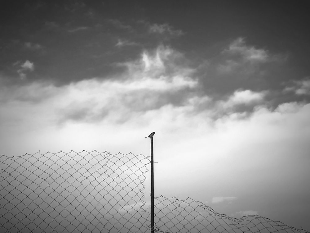 Photograph by shahin mansouri