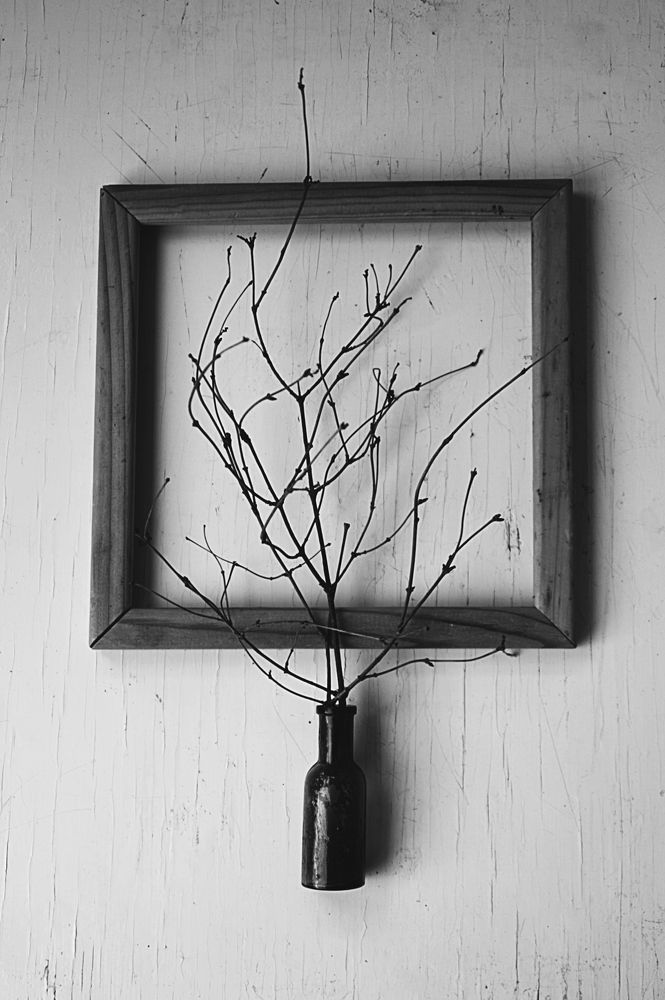 Photograph by Алексейчик Ольга