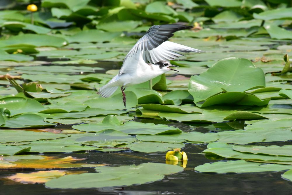 Photograph by Anna Zelinskaya