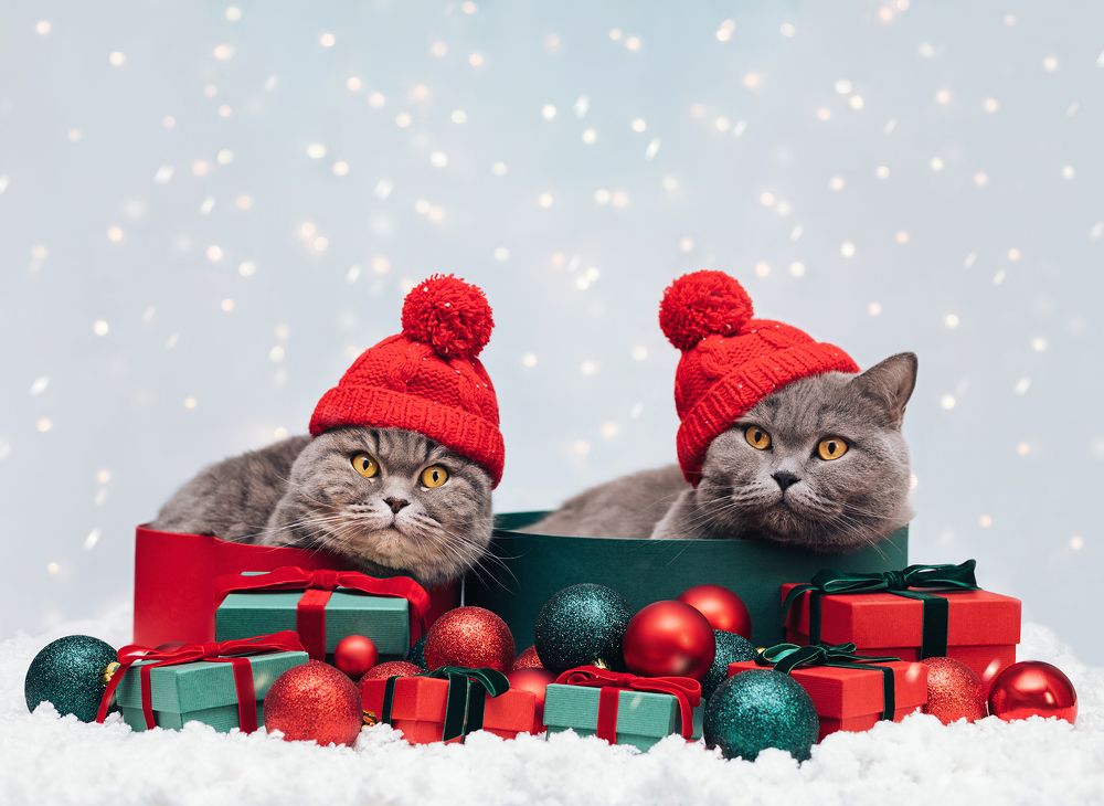 Photograph by Марина Багрова