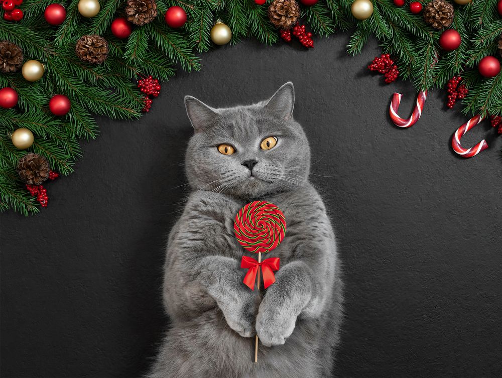 Photograph by Марина Багрова