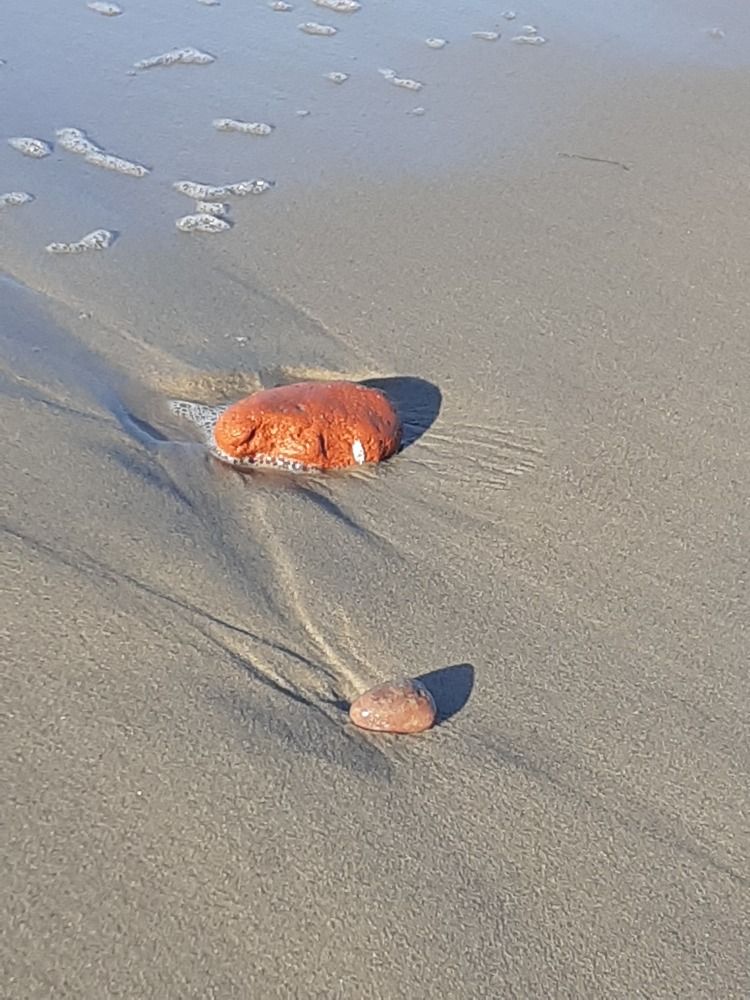 Photograph by Ламейко Светлана