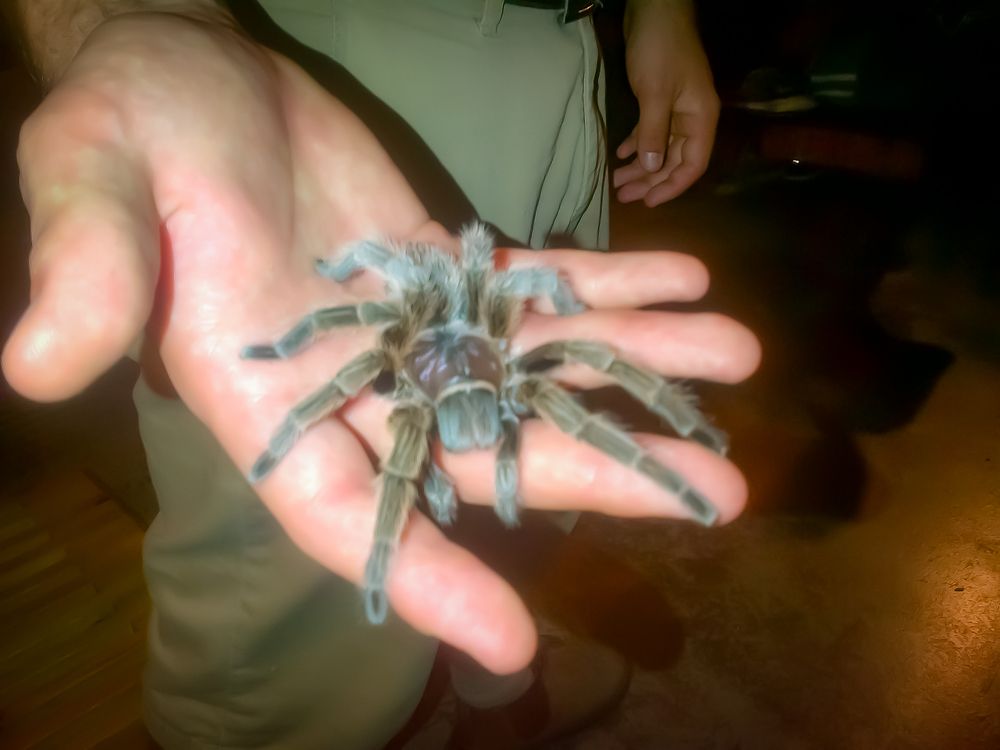 Photograph by William Mazuera