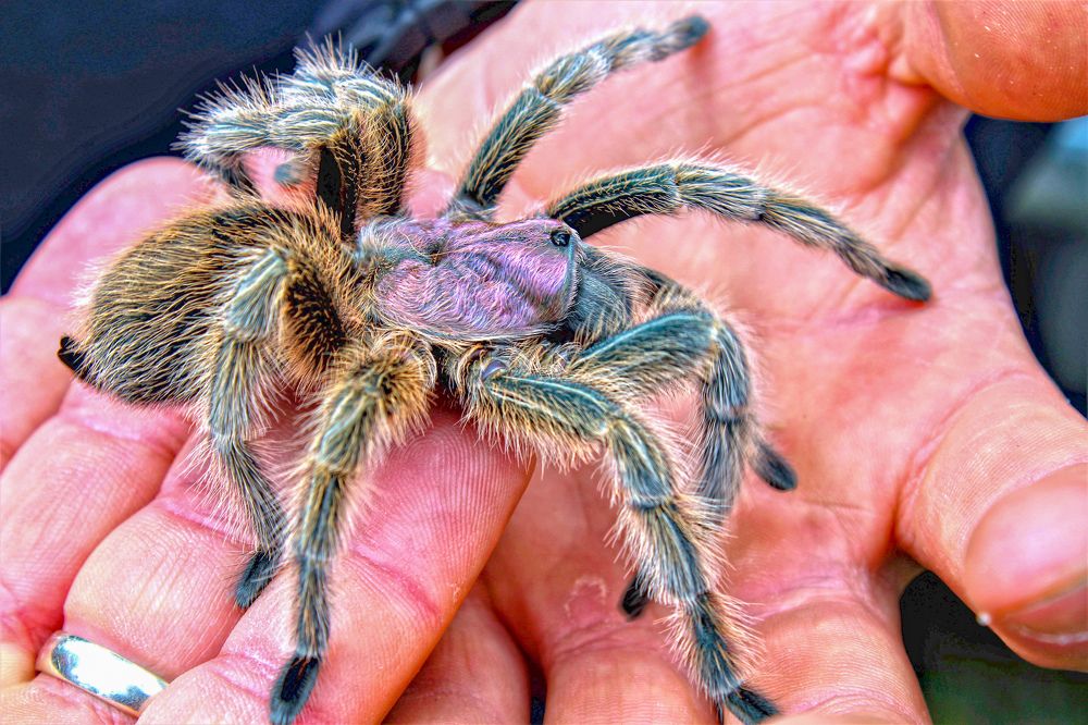 Photograph by William Mazuera