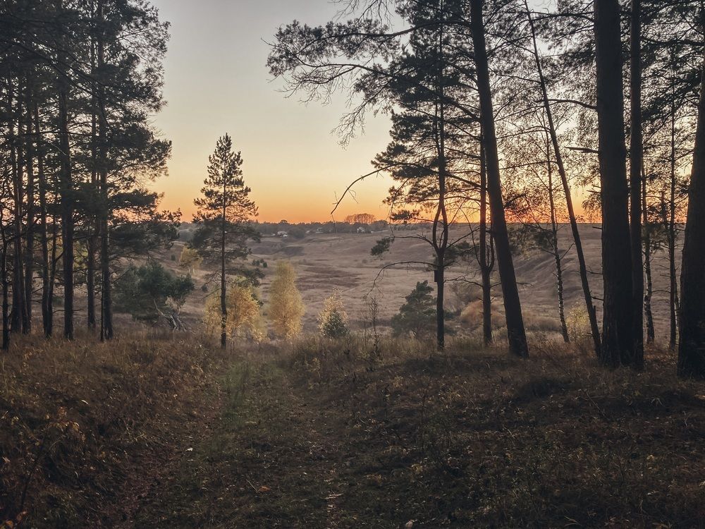 Фотография автора Светлана Тюрина