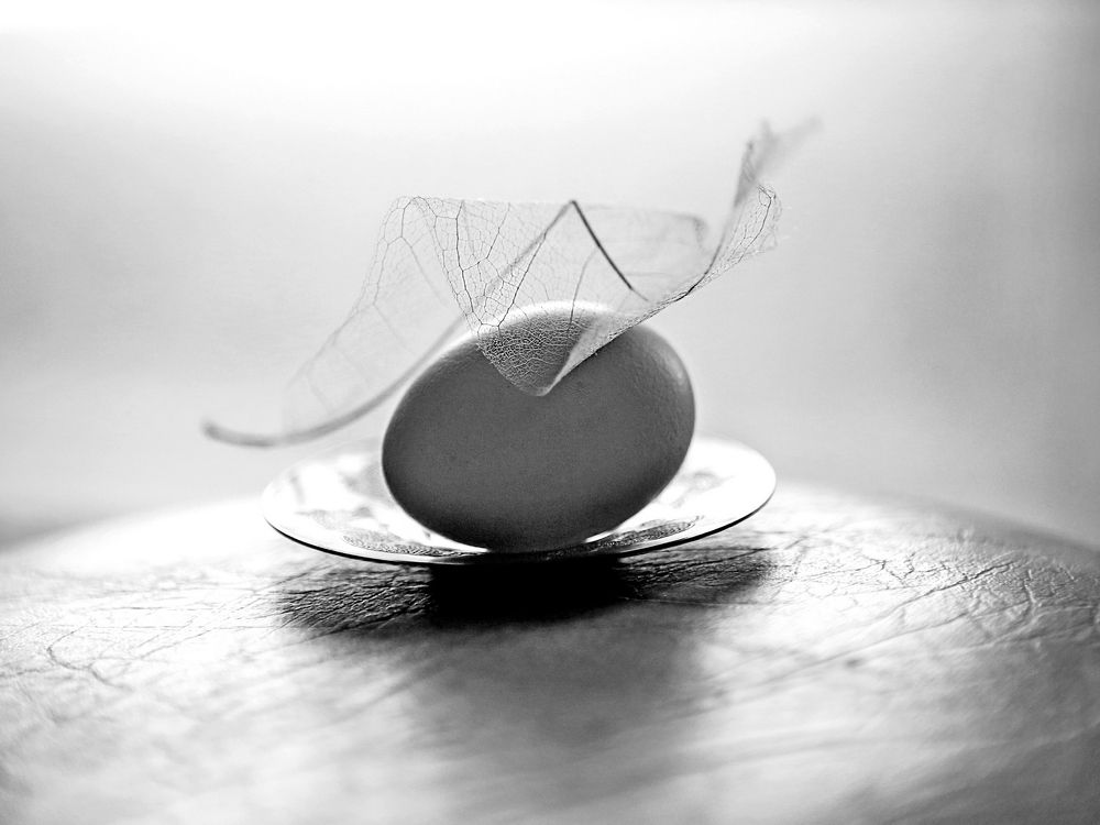 Сначала яйцо, потом курица.