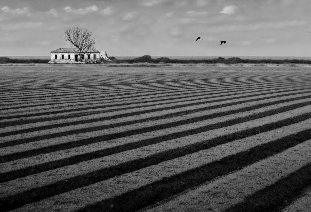 Photograph by Марина Ческис