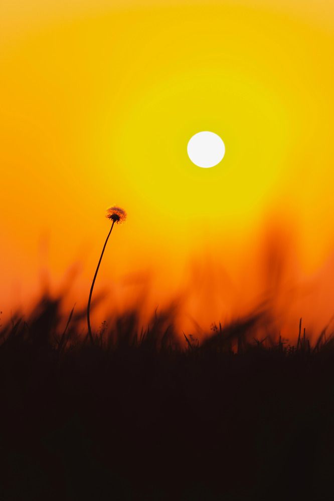 Фотография автора Андрей Врубель