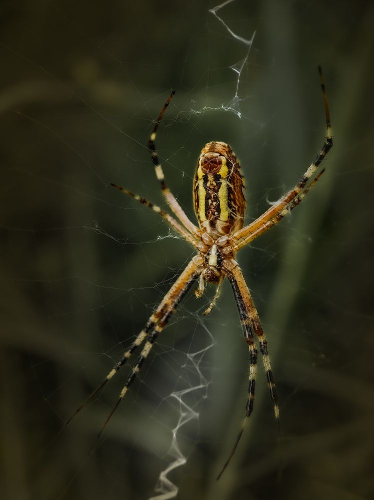 Photograph by Лариса Когтева