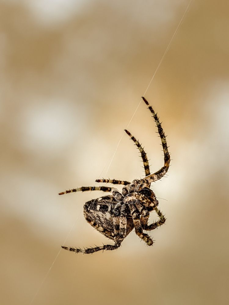 Photograph by Лариса Когтева