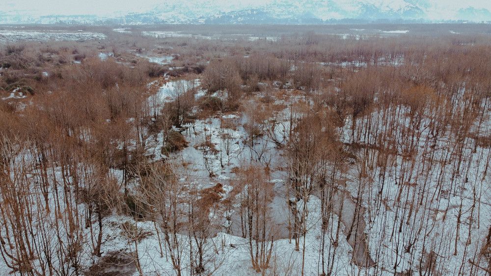 Photograph by ilia adamia