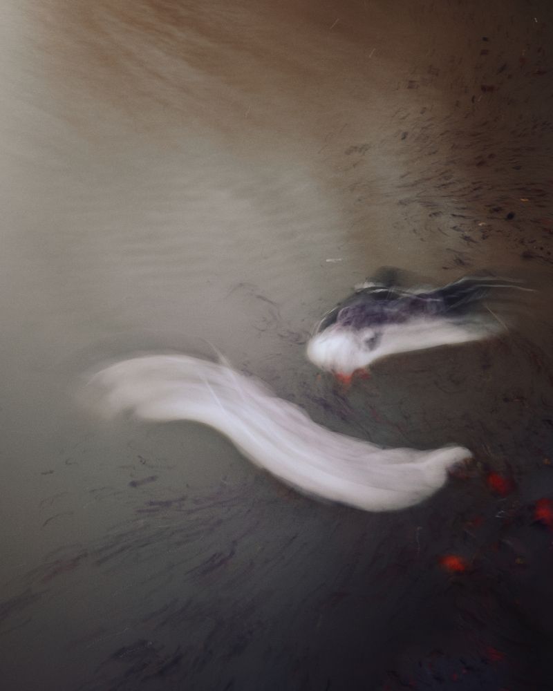 Photograph by Nikolas Tsiolis