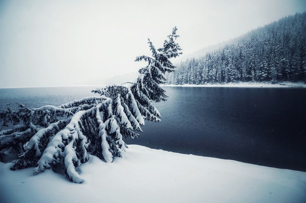 Photograph by Anton Dangov