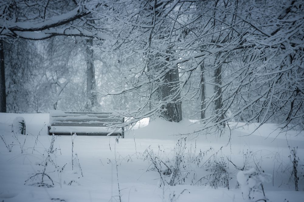 Photograph by Ирина Галеева