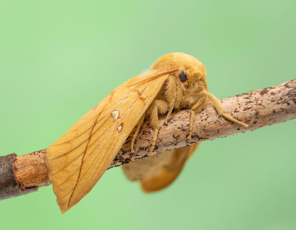 Photograph by Марина Багрова