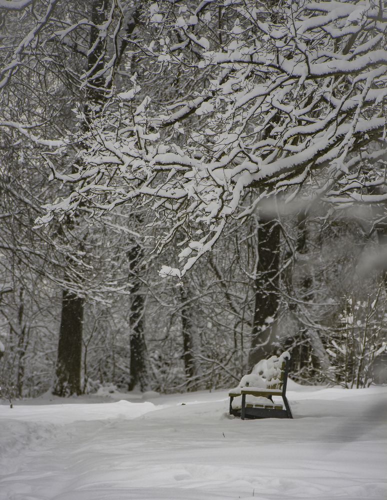 Photograph by Ирина Галеева