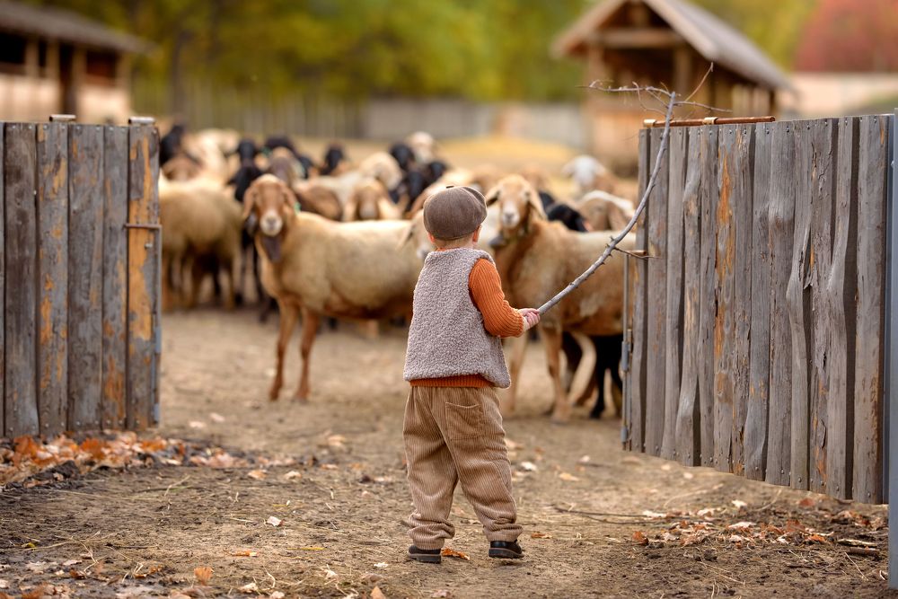 Фотография автора Алена Наливкина