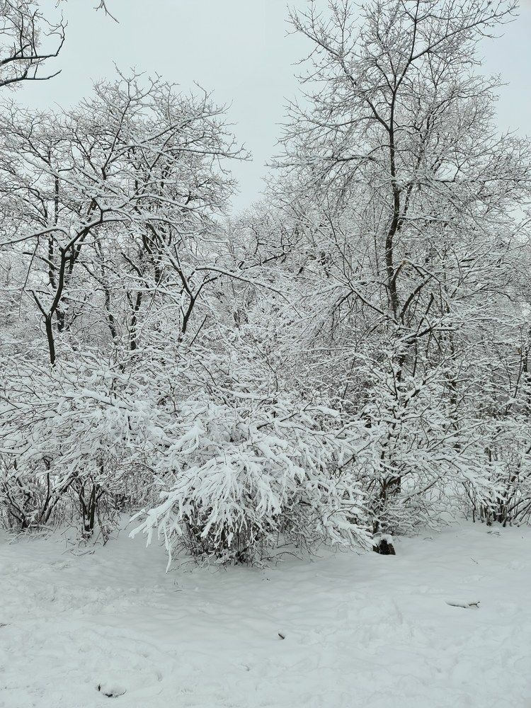 Photograph by Сергей Мамалюк