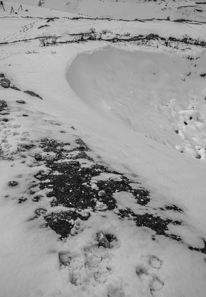 Photograph by Ali Abu Ras