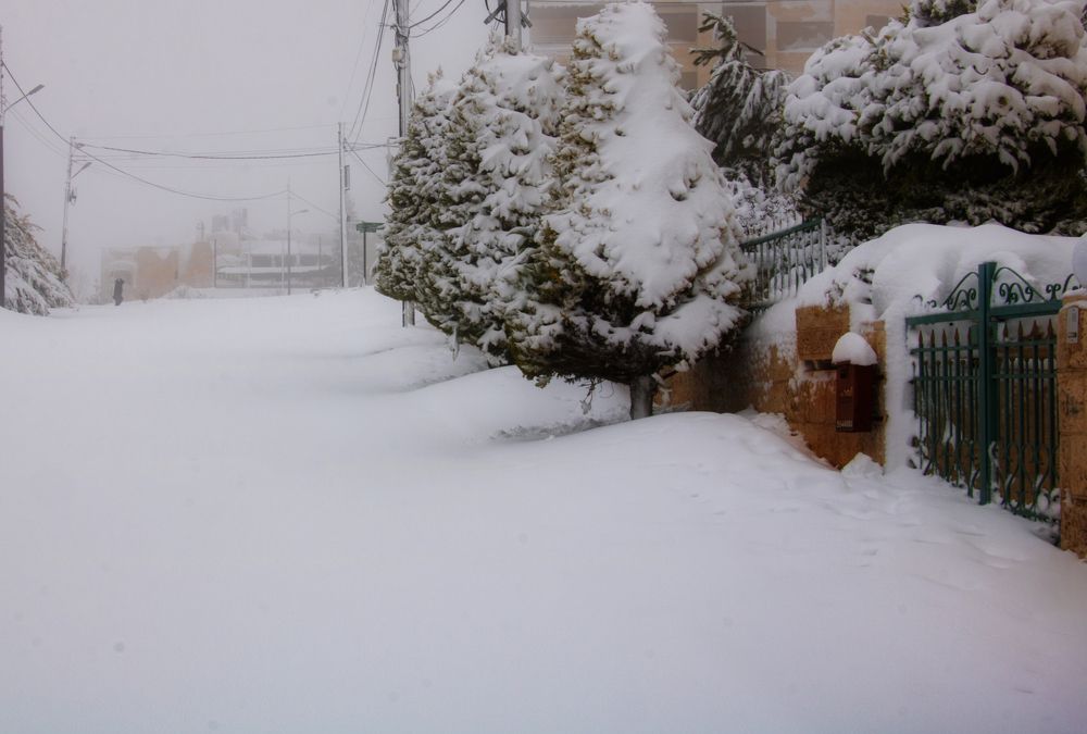 Photograph by Ali Abu Ras