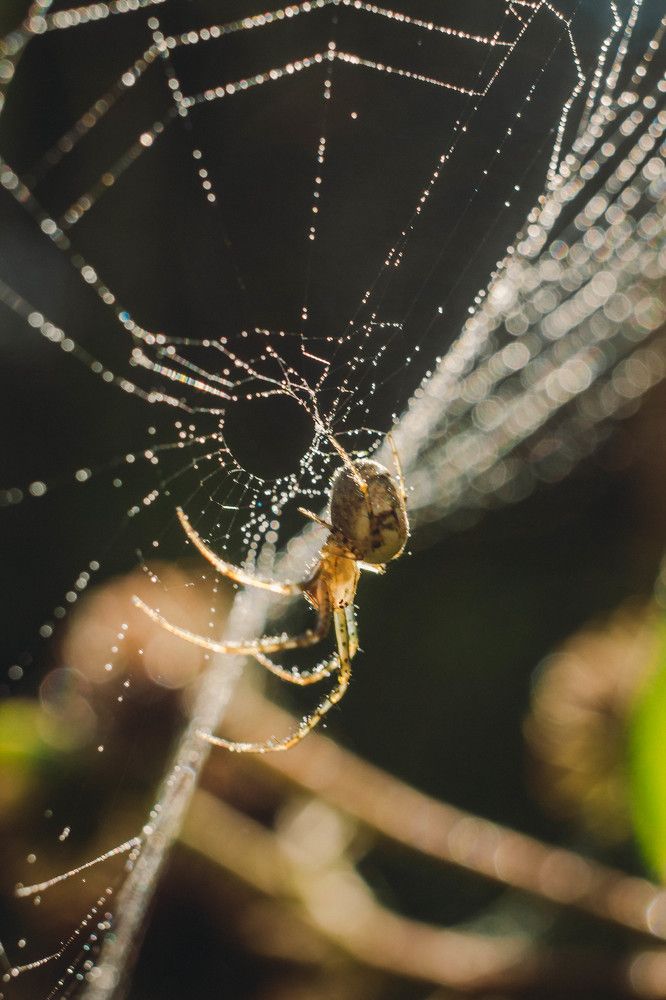 Photograph by Ирина Галеева