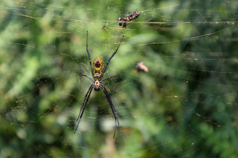 Фотография автора Omar Alammari