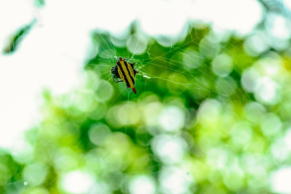 Photograph by Arkadii Dodoka