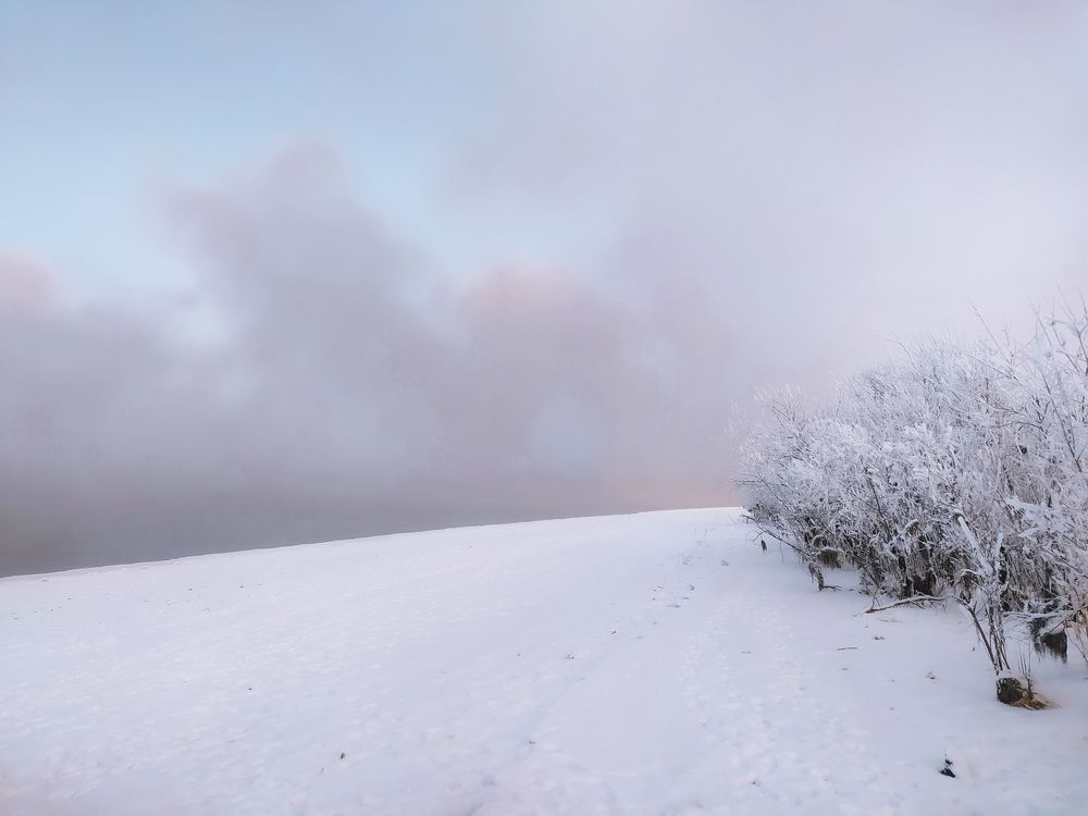 Photograph by Elena Kilina