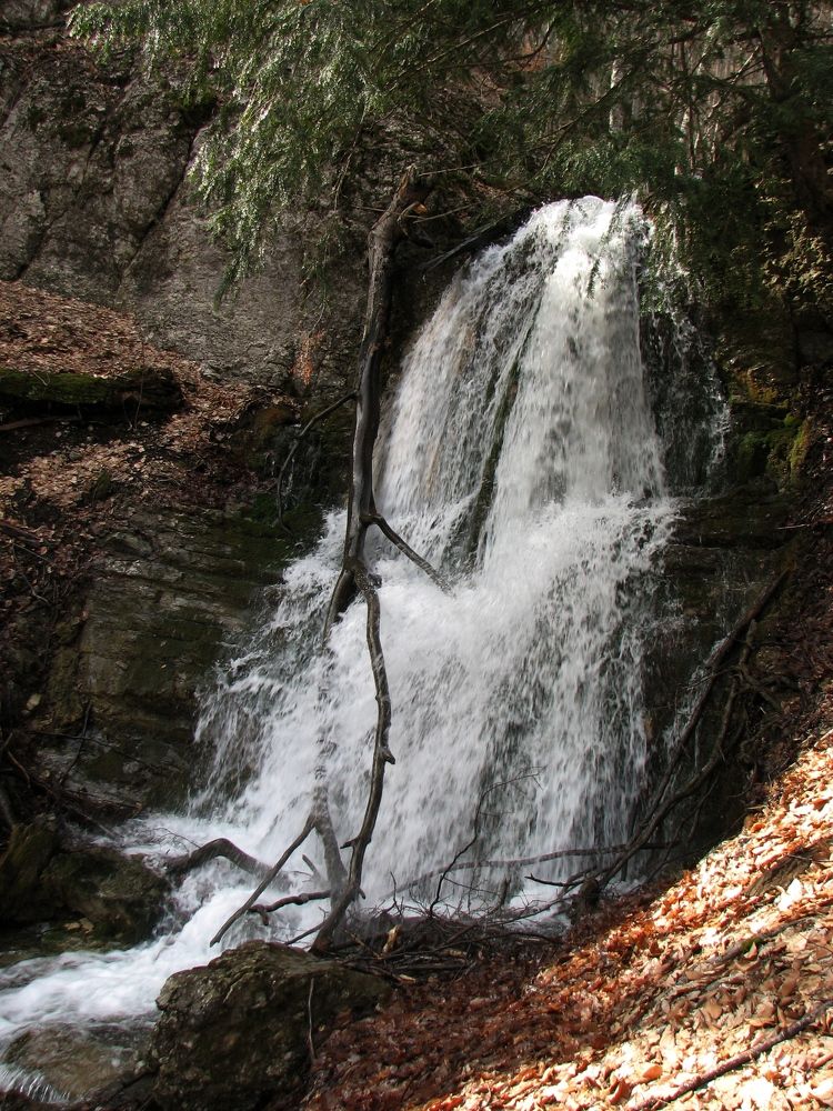 Фотография автора Сергей Дёмин