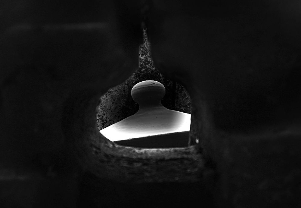 Фотография автора Tomas Manuel Fonte Hernandez