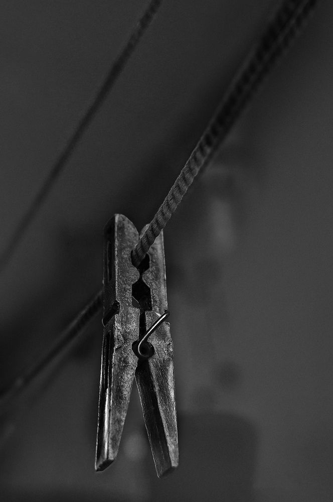 Фотография автора Tomas Manuel Fonte Hernandez