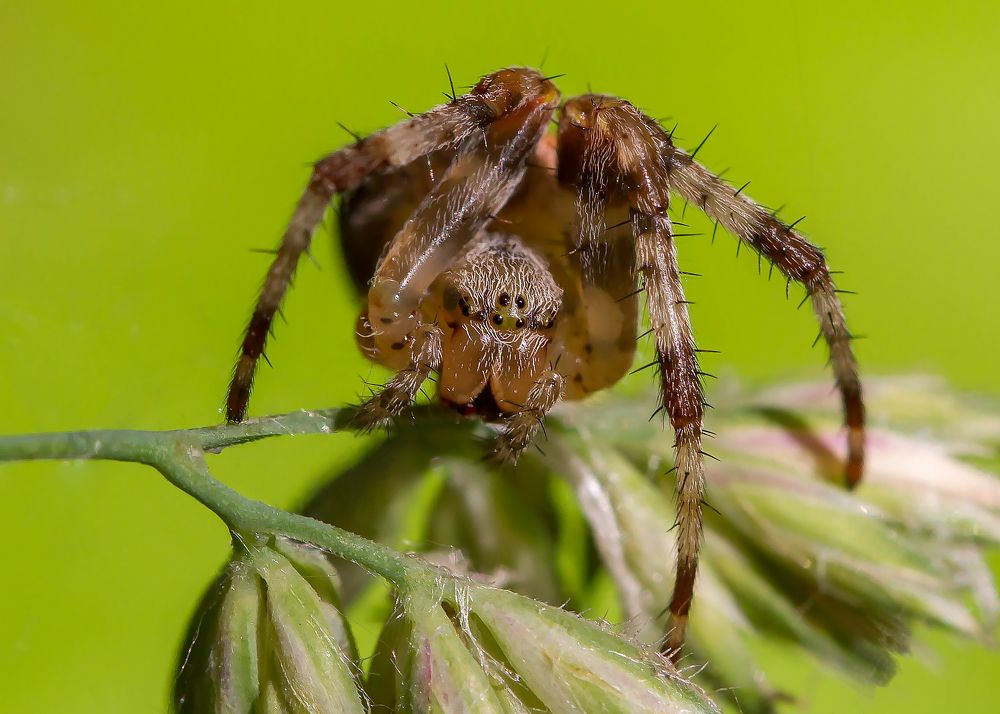 Фотография автора Andrey Pristyazhnyuk