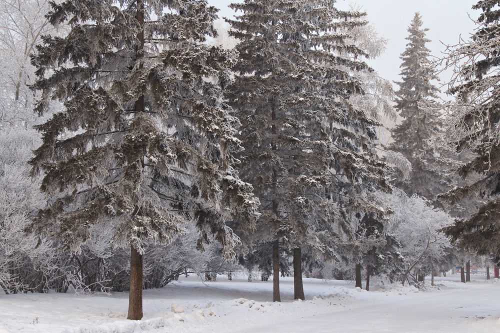 Photograph by Алёна Гильмуллина