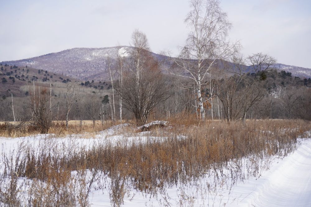 Где то в Приморье