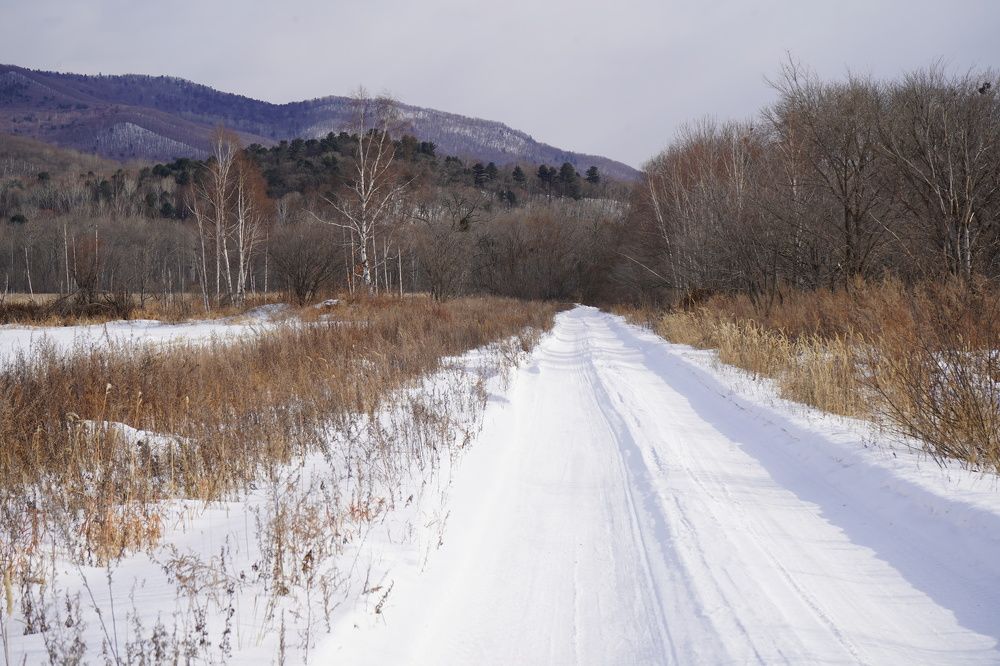 Photograph by Ирина Гаврилова