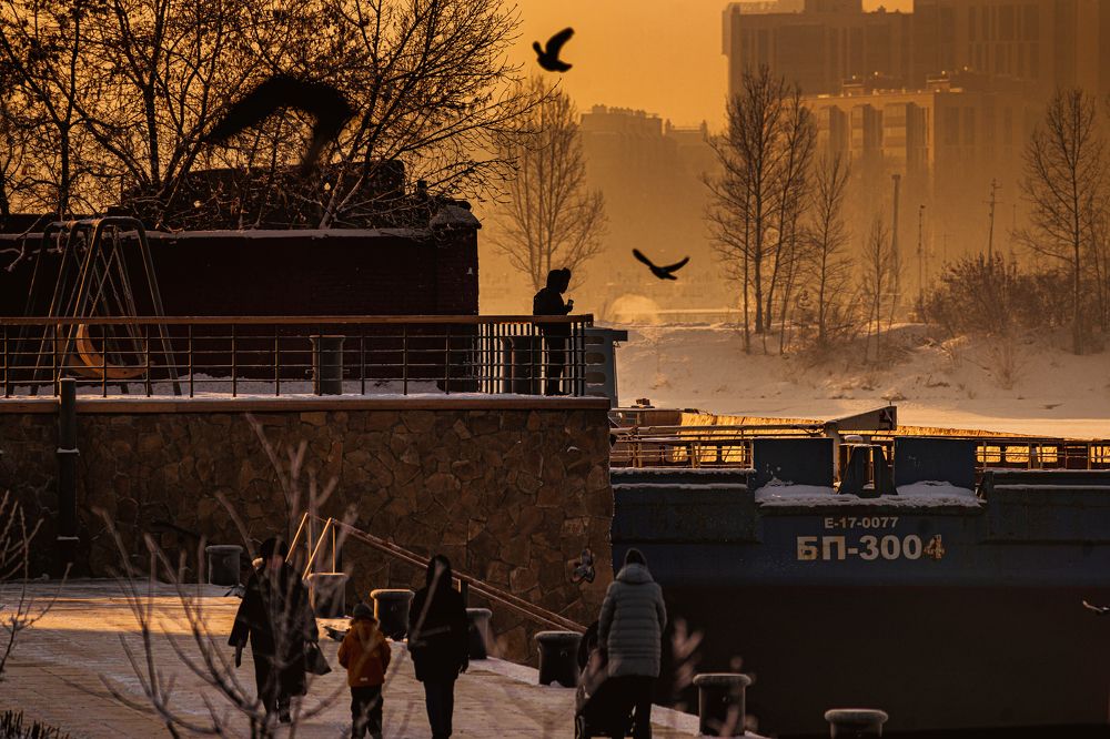 Photograph by roman pr