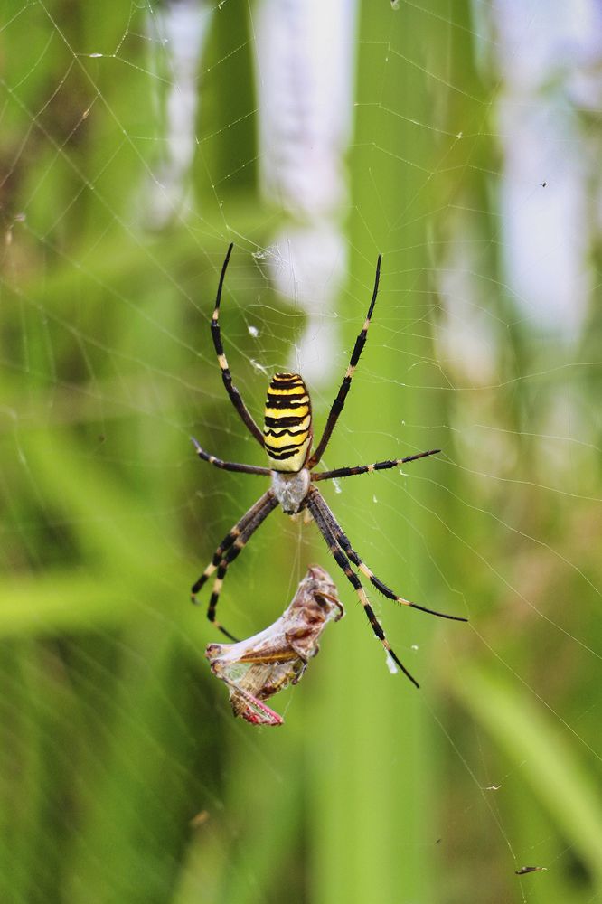 Фотография автора Mahshad Razavi