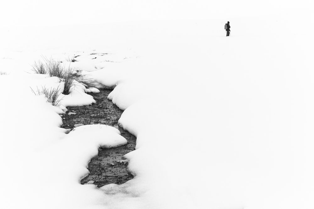 Фотография автора Mahshad Razavi