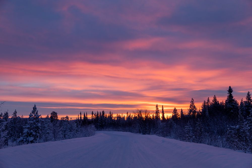 Фотография автора Андрей Русских