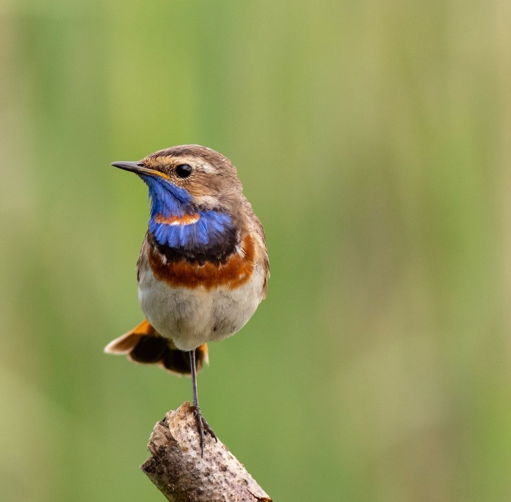 Photograph by Павел Краснослободцев