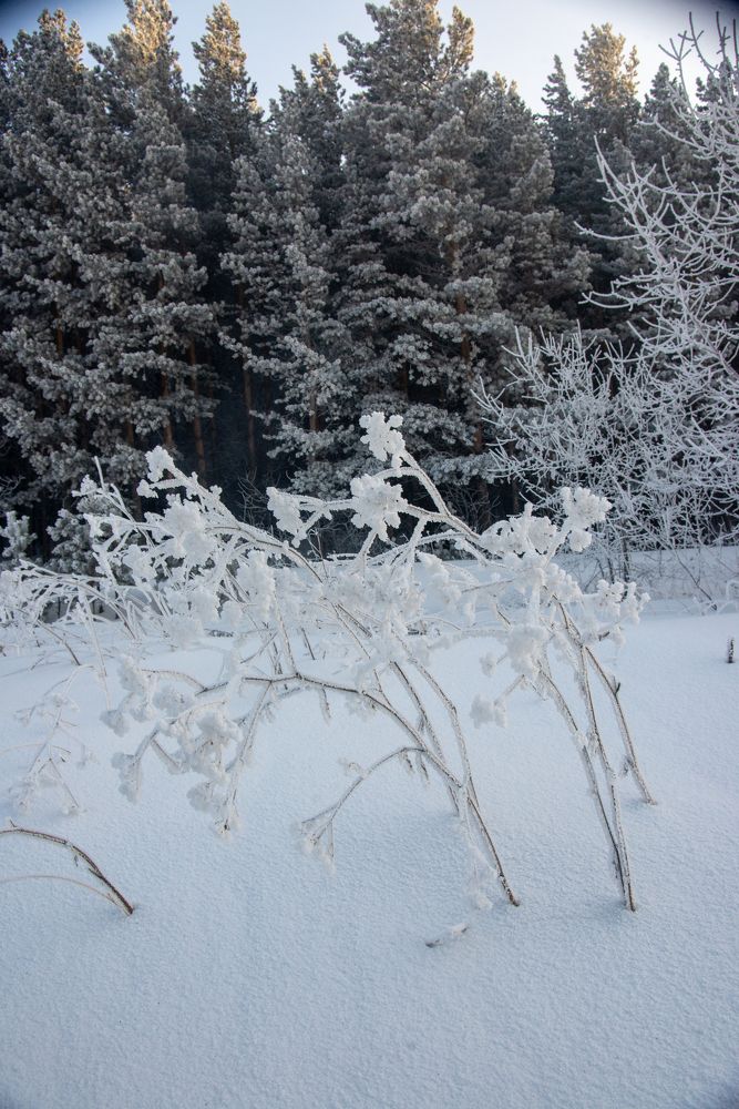 Фотография автора Виталий Гавронский