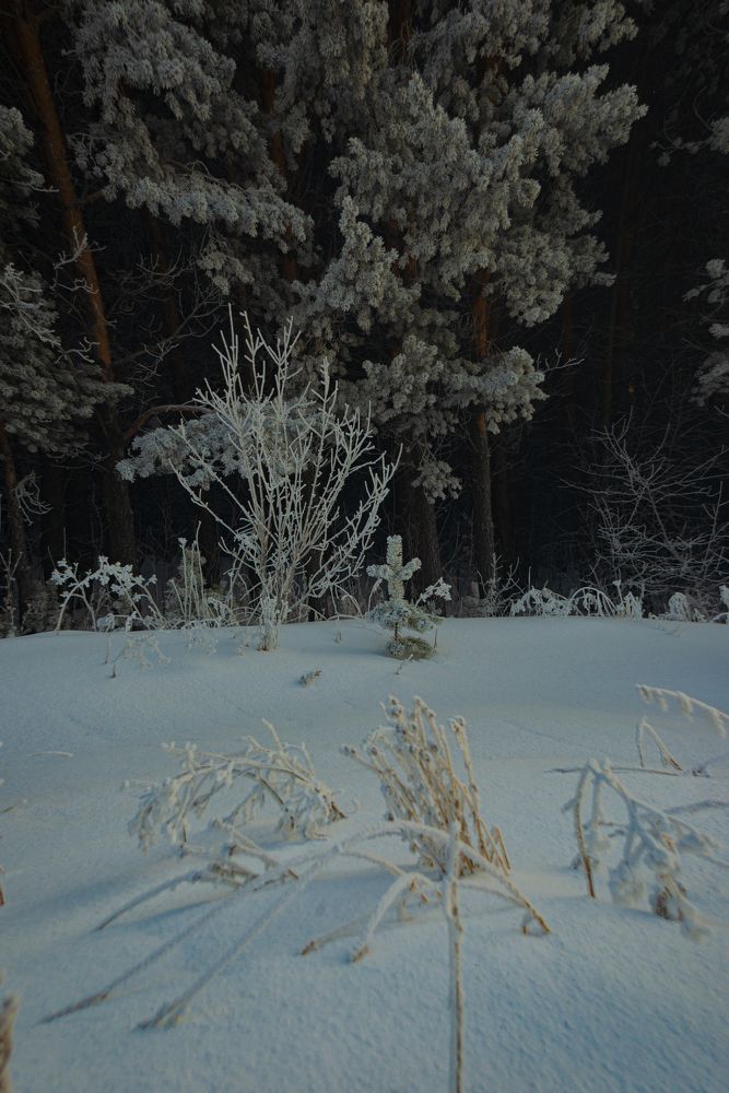 Фотография автора Виталий Гавронский
