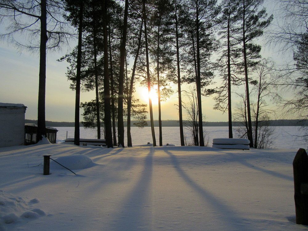 Photograph by Ирина Осипова