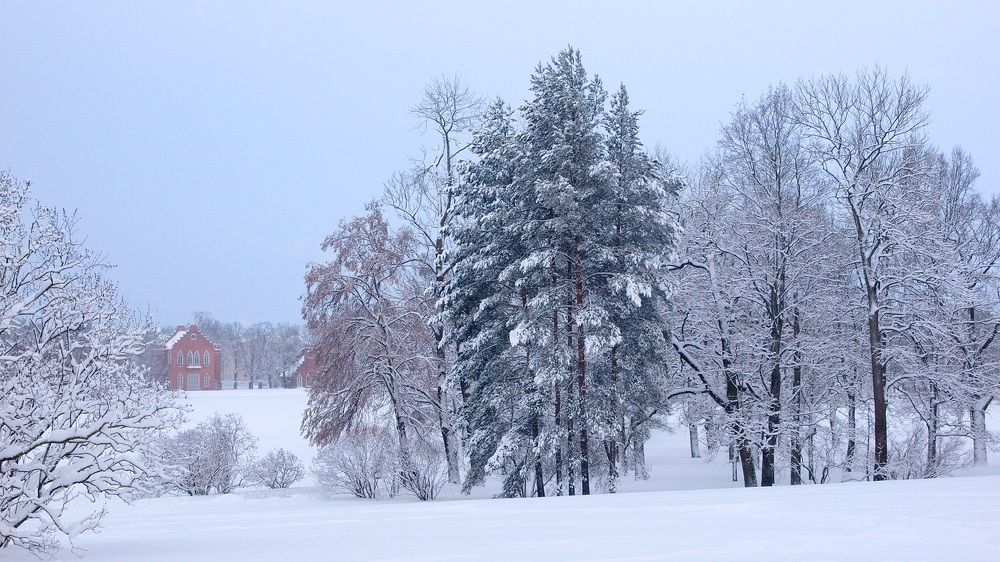 Формула тишины
