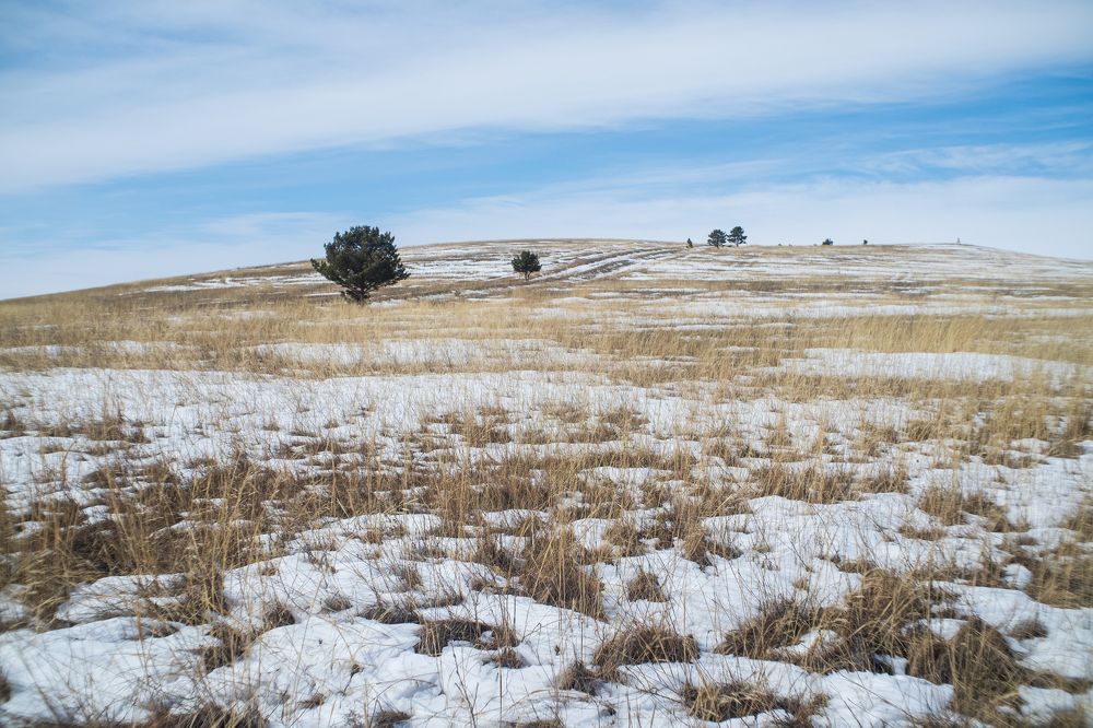 Photograph by Алексей Арестов